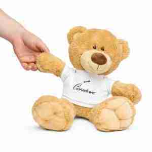 Carnivore Teddy bear with a t-shirt